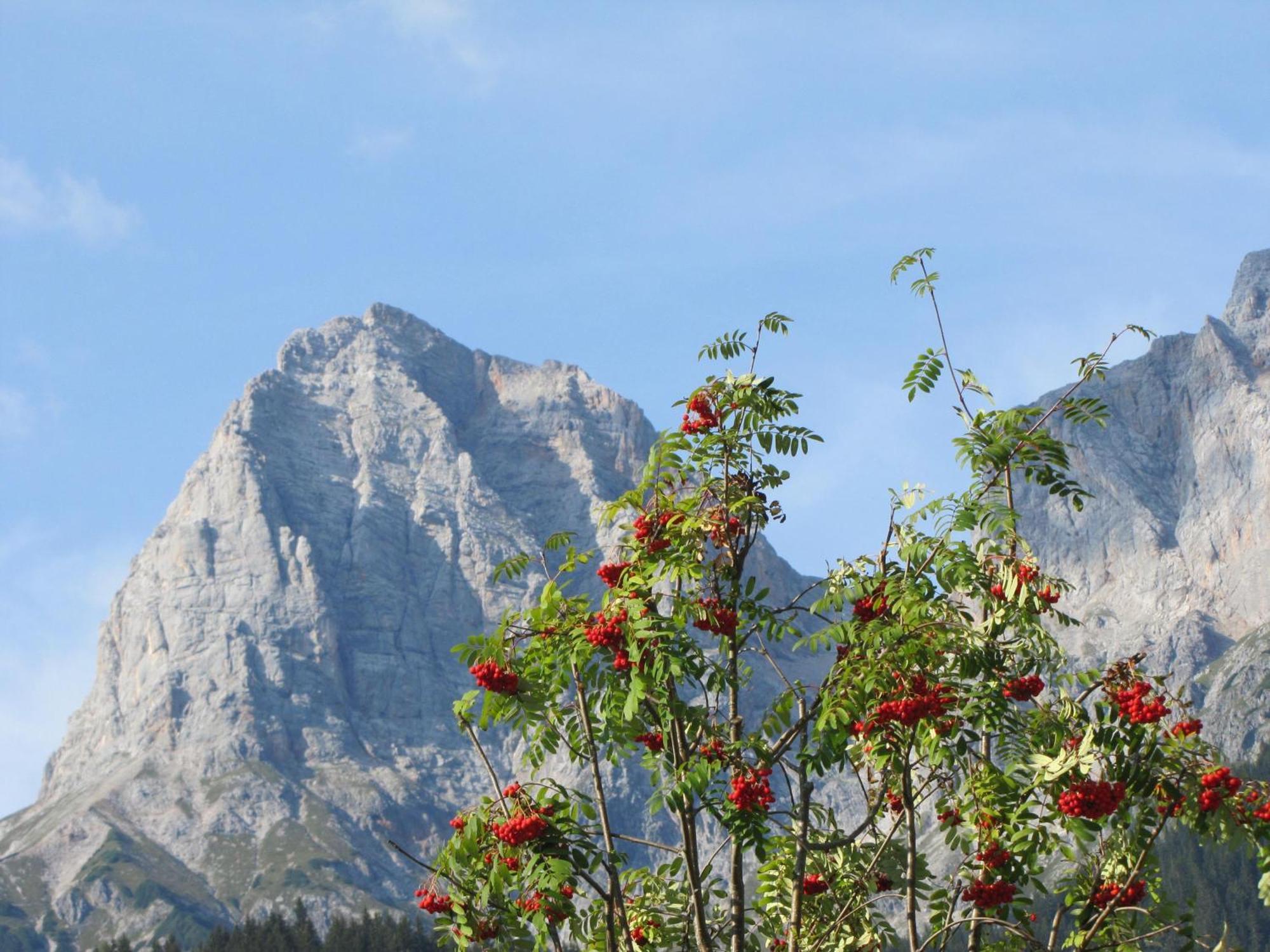 Ferienwohnung Klappacher Maria Alm am Steinernen Meer Exterior photo