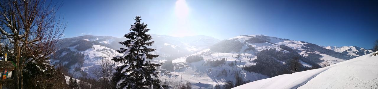 Ferienwohnung Klappacher Maria Alm am Steinernen Meer Exterior photo